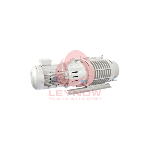 LR 0100 罗茨草莓视频官网下载